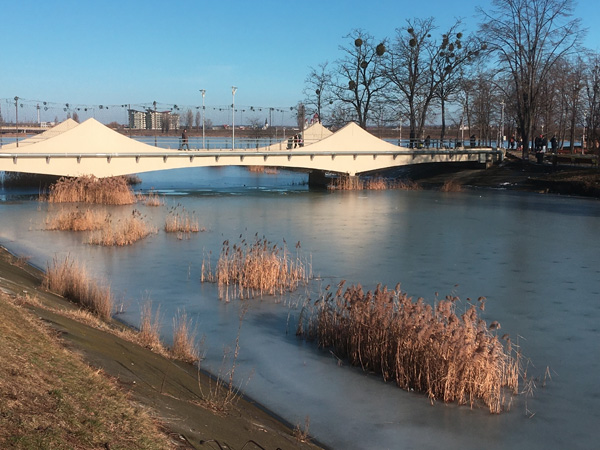 542 :: Bridge